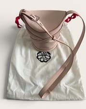 Alexander McQueen Shoulder Bag The Curve Shoulder Bag Light Pink